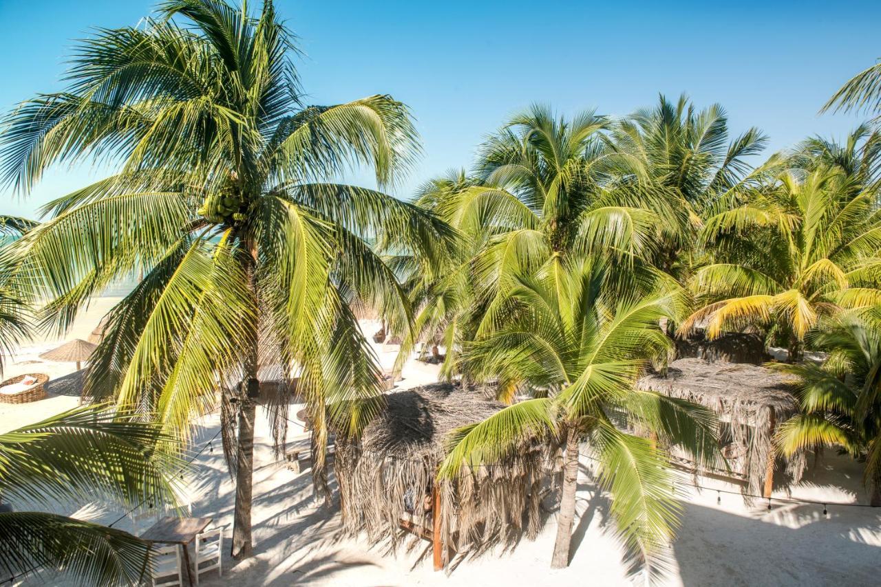 Casa Las Tortugas Petit Beach Hotel & Spa Isla Holbox Ngoại thất bức ảnh