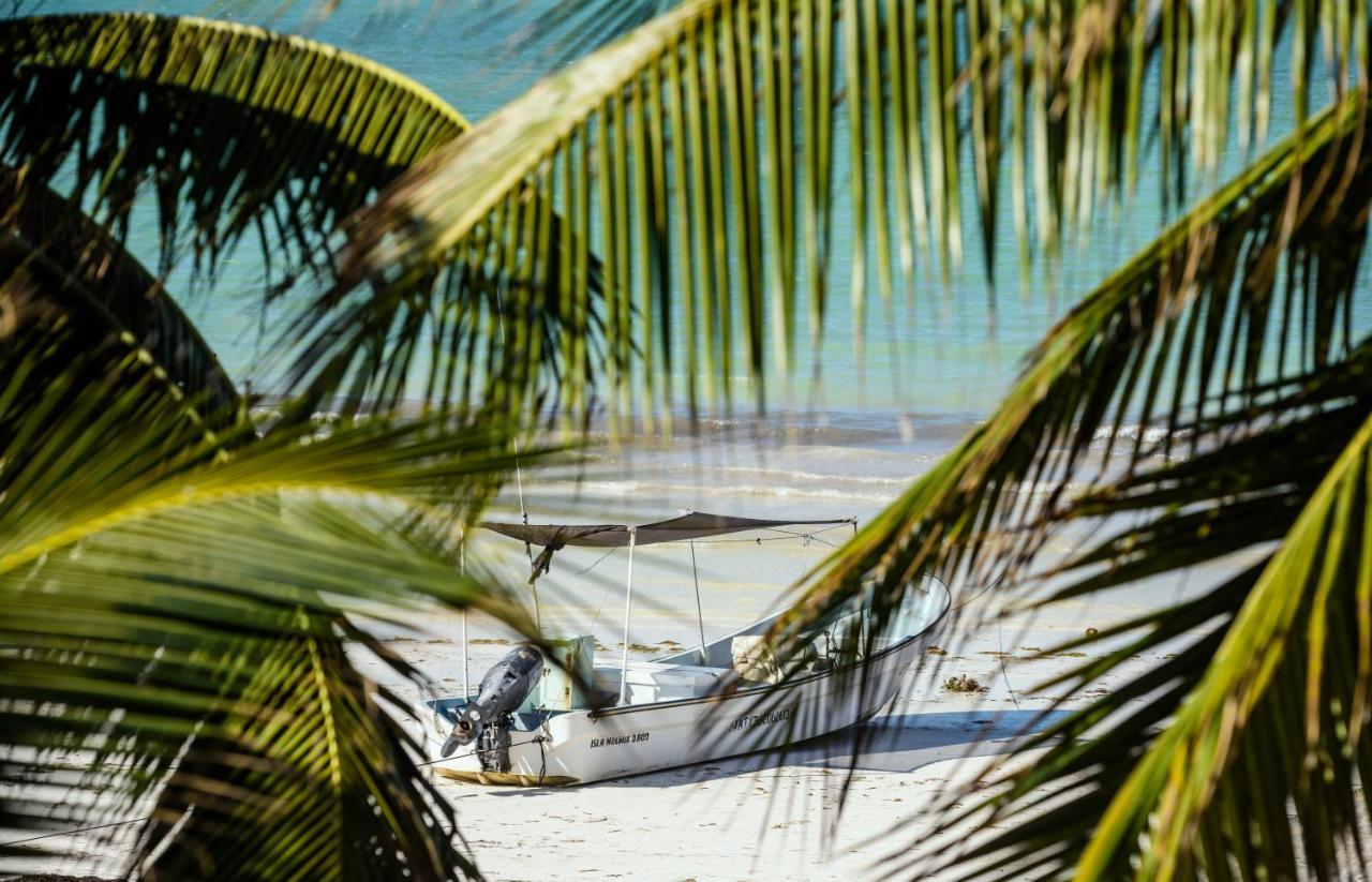 Casa Las Tortugas Petit Beach Hotel & Spa Isla Holbox Ngoại thất bức ảnh